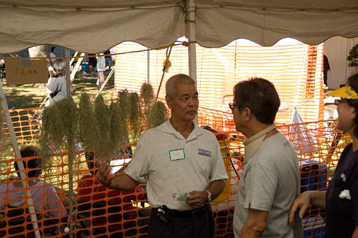 2007_okinawa_festival_0325