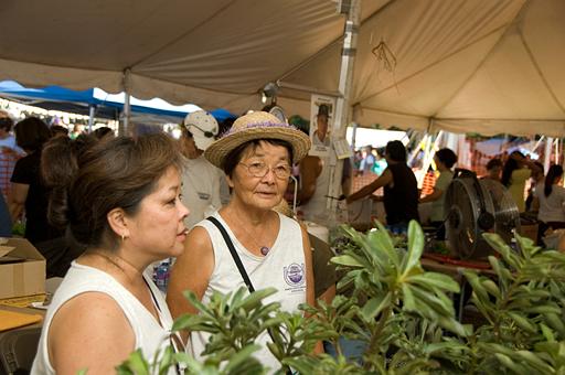 2007_okinawa_festival_0342