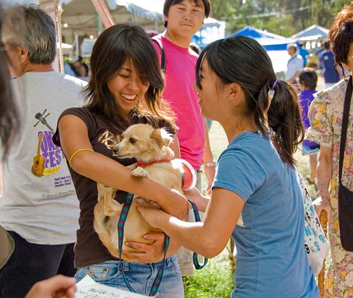 2007_okinawa_festival_0345