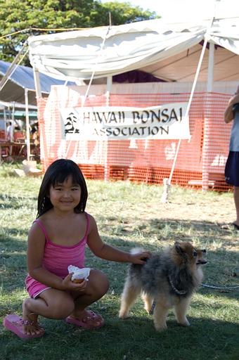 2007_okinawa_festival_0374