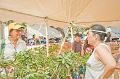 2007_okinawa_festival_0324