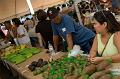 2007_okinawa_festival_0335