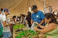 2007_okinawa_festival_0336