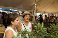 2007_okinawa_festival_0342