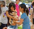 2007_okinawa_festival_0345