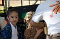 2007_okinawa_festival_0443