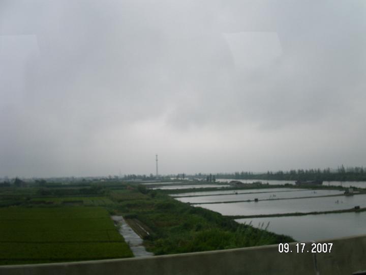 PICT4562