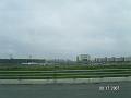 PICT4556